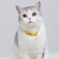 cute red pink orange colors cat belts collar